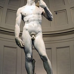 David di Michelangelo - Firenze